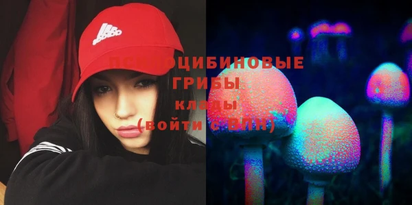МДПВ Абинск