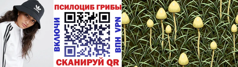 Галлюциногенные грибы Psilocybine cubensis  даркнет сайт  Чита 